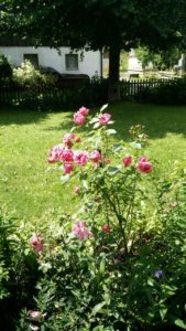 Garten mit Rosen